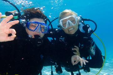 Discover Scuba Diving in Puerto de Mogan