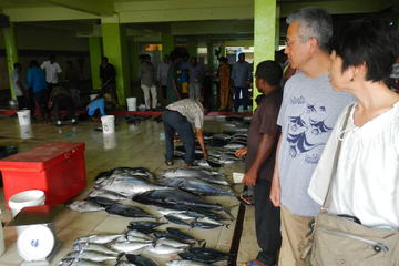Maldivian Private Cooking and Islamic Culture Experience