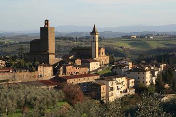 Private tour of Vinci birthplace of Leonardo