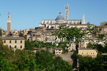 Private Walking Tour: Siena and its Treasures