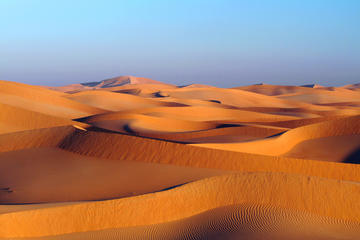 Desert Adventure