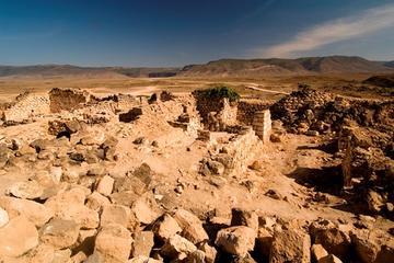 Half-Day Salalah Tour: Qaboos Mosque, Al Baleed, Frankincense Museum, Haffa Souk