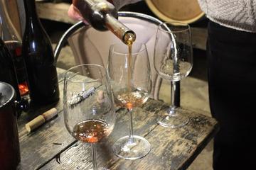 Istrian noTourist Wine Tour for min 4 persons