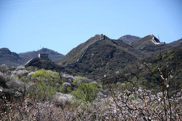 Beijing Private Day Tour of Badaling Great Wall and Dingling Tomb