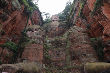 Private Day Trip: Chengdu Research Base of Giant Panda Breeding and Leshan Grand Buddha