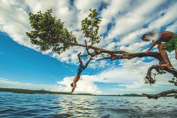 Full-Day Amazon Boat Tour in Alter do Chao