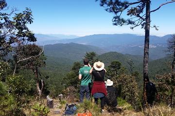 Sierra Norte Oaxaca Day Trip: San Isidro Flat and Tule Tree