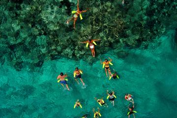 Marinarium Snorkeling Half Day Cruise
