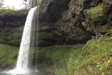 Small Group Willamette Valley Wine and Waterfalls Tour