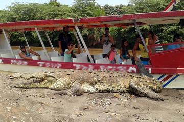 Crocodile and Wildlife Adventure from Jaco