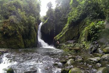 Full day hiking and bird watching at Savegre River San Gerardo near to San Jose