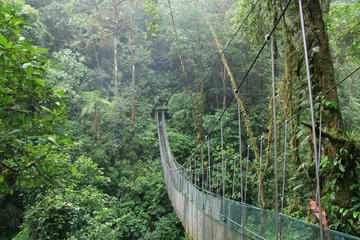 Full day hiking at Arenal Volcano and hanging brides from San Jose
