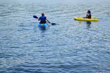 Full day Kayaking and animals, birds watching tour at Arenal lake from San Jose