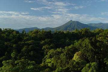 Full day  Sarapiqui from San Jose Volcano Hike watch wild life and Kayaking tour