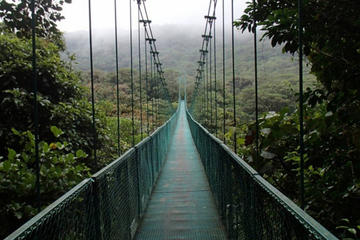 Full day to Monteverde from San Jose with Canopy and Reptil Amphibians watching