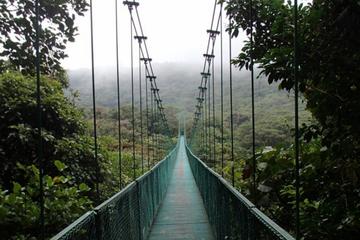 Full day zip line tour with butterfly and hanging bride near San Jose Costa Rica