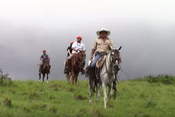 Horseback Riding, Zipline and Hot Springs Tour in Guanacaste