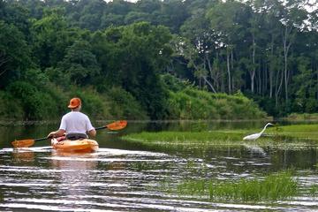 Nosara guided bird watching wildlife hike and kayak tour in Guanacaste