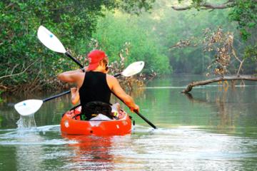 Nosara river guided kayak mangrove and environment watching tour in Guanacaste