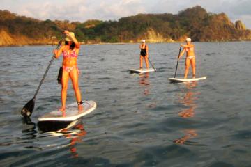 Nosara river stand up paddleboard (SUP) magrove and environment watching tour in Guanacaste