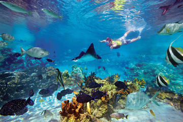 San Juanillo beach snorkel marine wildlife tour at Nosara in Guanacaste