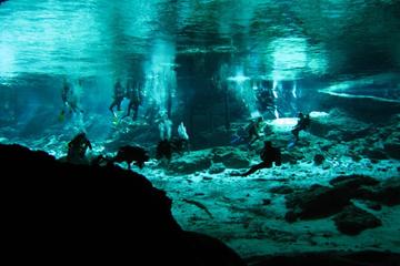 Cenotes 2-Tank Scuba Diving Adventure from Merida