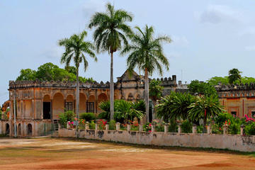 Haciendas and Cenotes Cultural and Outdoor Adventure from Merida