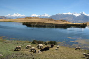 HUILCACOCHA or WILCACOCHA - Huaraz - Guided Service