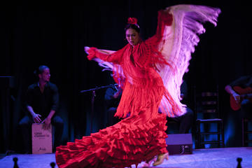 Flamenco Show at La Bodega Flamenca