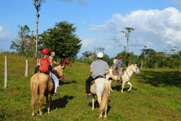 Horseback Riding Tour in Monteverde
