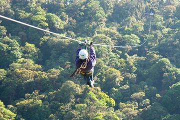 Zipline and Rappelling in Monteverde