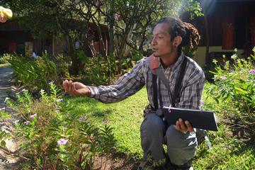 Costa Rica Medicinal Plants Tour from Playa del Coco