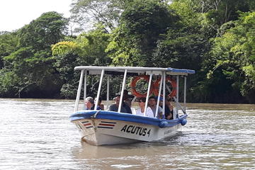 Palo Verde Boat Tour from Playa del Coco Area
