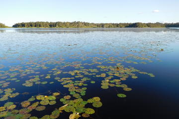 Noosa Everglades BBQ Lunch Cruise