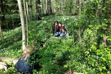 Private Bike Tour in Helsinki Forest
