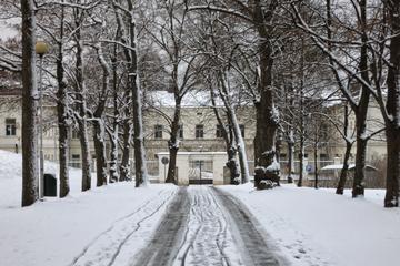 Private Helsinki Mental Asylum Walking Tour
