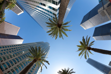 Tour della città di Los Angeles e tour delle case delle stelle del