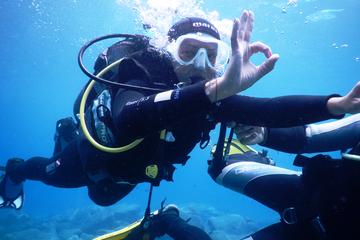 PADI Half Day Scuba Diving Course in Fuerteventura
