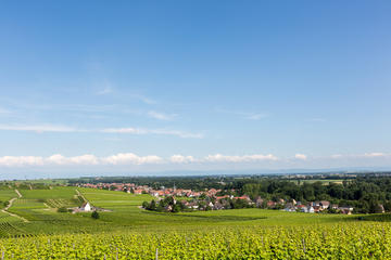 FINE WINES AND WONDERFUL VILLAGES HALF-DAY TOUR