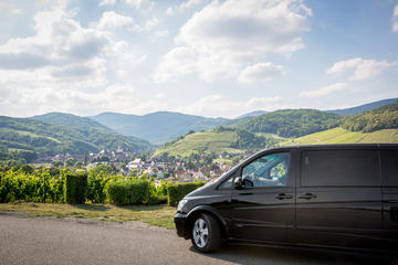 Full-Day Alsace Wine Tasting Small-Group Tour from Strasbourg