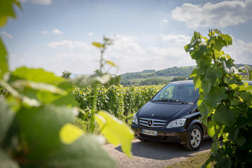 Half-Day Alsace Wine Tasting Small-Group Tour from Strasbourg