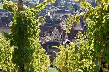 Private Custom Tour of Alsace Villages with Wine Tasting from Colmar