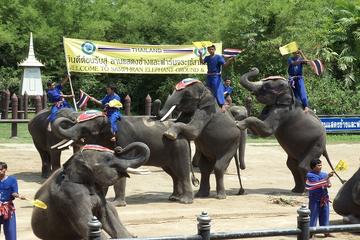 Private Half-Day Elephant Theme Show & Crocodile Wrestling Show Tour from Bangkok