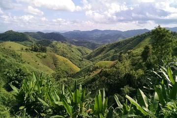 Private Tour: Chiang Rai Golden Triangle Day Trip from Chiang Mai