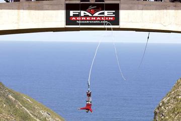 3 Day Garden Route Big 5 and Bungee Tour
