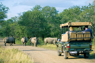 4 Day Kruger Safari