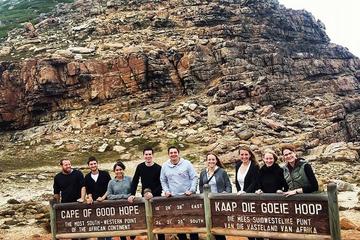 Ultimate Cape Point Full-Day Tour from Cape Town