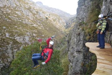 Ziplining Cape Town