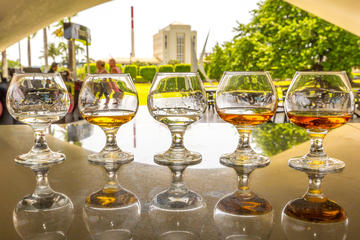 Rum Tasting Tour of Casa Bacardí