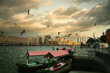 Classical Dubai City Tour